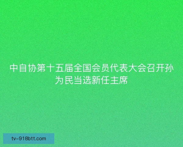 中自协第十五届全国会员代表大会召开孙为民当选新任主席